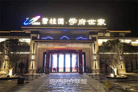 东平学区房东平明湖中学对过独立车库有证可分期